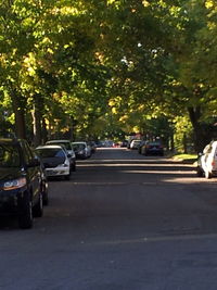 Cars parked on road in city