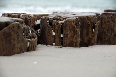 Surface level of wooden posts on beach