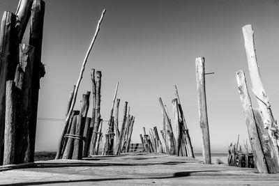  panoramic view of stakes on stilt pier