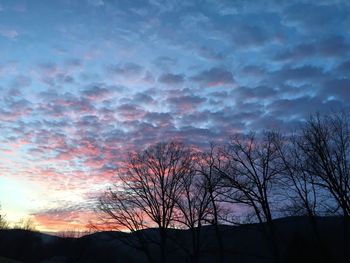 Low angle view of silhouette bare trees against sky