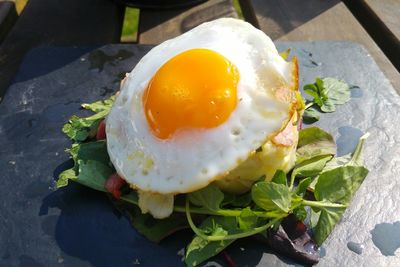 Close-up of food on plate