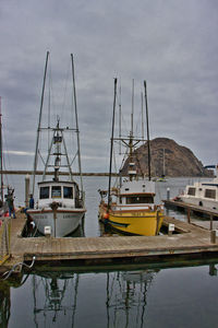 Boats moored at harbor