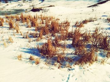 Full frame shot of frozen water