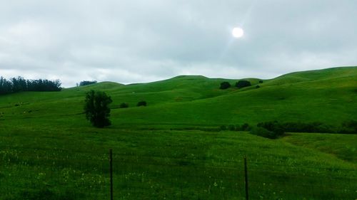 Scenic view of grassy field against cloudy sky