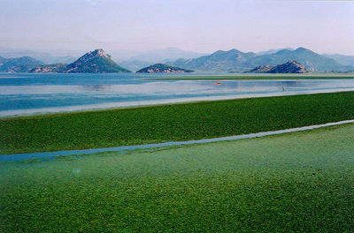 Scenic view of lake and mountains against sky