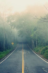 Empty road amidst trees