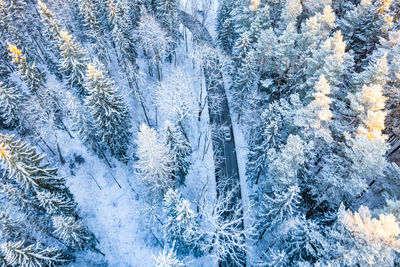 Full frame shot of snow covered field