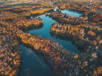 High angle view of autumn trees by lake