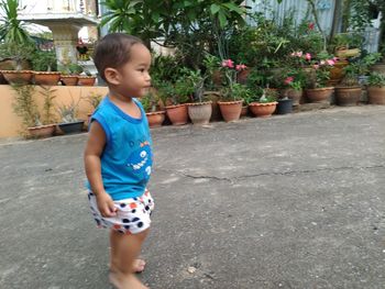 Cute boy looking away while standing against plants