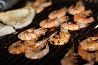 Close-up of grill prawn