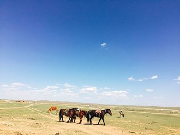 Horses on field against sky