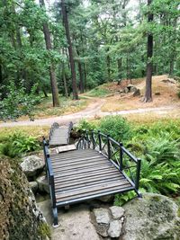 Empty bench in forest