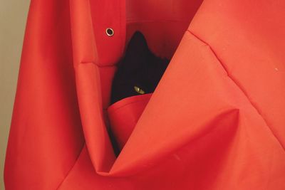 High angle view of cat on red sofa