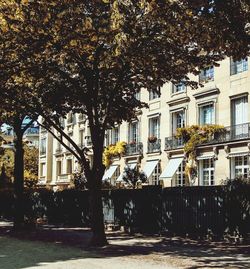 Buildings in city