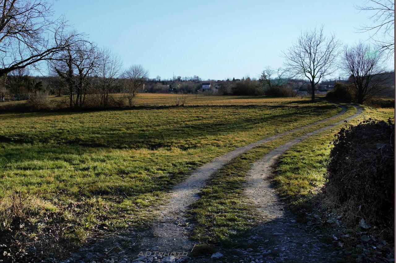 ROAD PASSING THROUGH LANDSCAPE