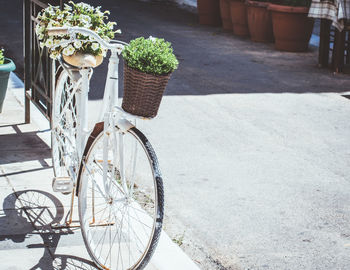 Potted plants in basket on street in bicycle 