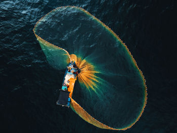 High angle view of plant against sky