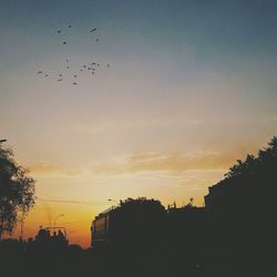 Low angle view of birds flying in sky