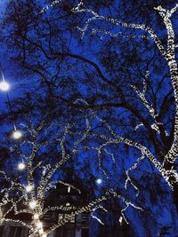 Low angle view of illuminated tree against blue sky