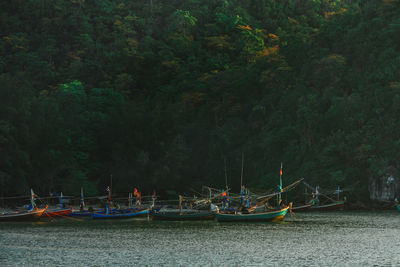 Boats moored in sea against trees in forest