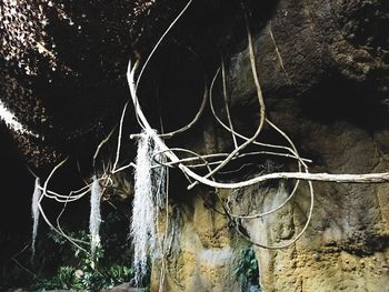 Close-up of rope against wall