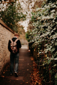 Rear view of man walking on narrow footpath amidst surrounding wall and plants