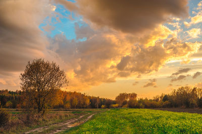 Scenic view of field against sky during sunset