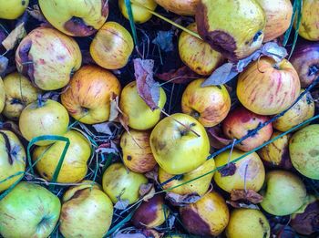 Full frame shot of fruits for sale in market