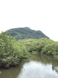 Scenic view of tree by mountains against clear sky