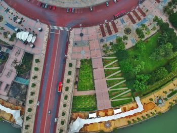 Aerial view of road and trees