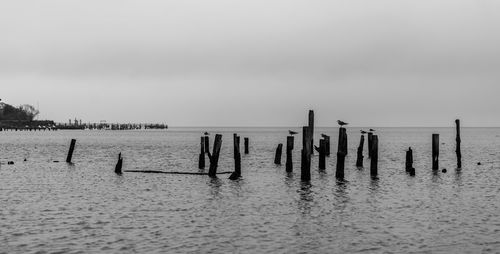 Wooden posts in sea against sky