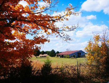 Trees on field against cloudy sky
