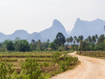 landscape