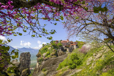 View through blooming branch on famous meteora monastery up on the rock