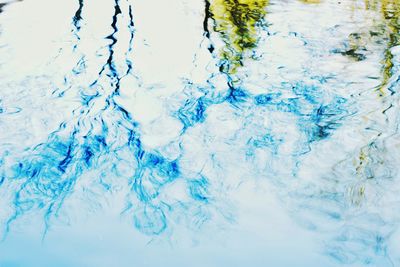 Reflection of trees in water