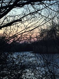 Bare trees by lake against sky during winter