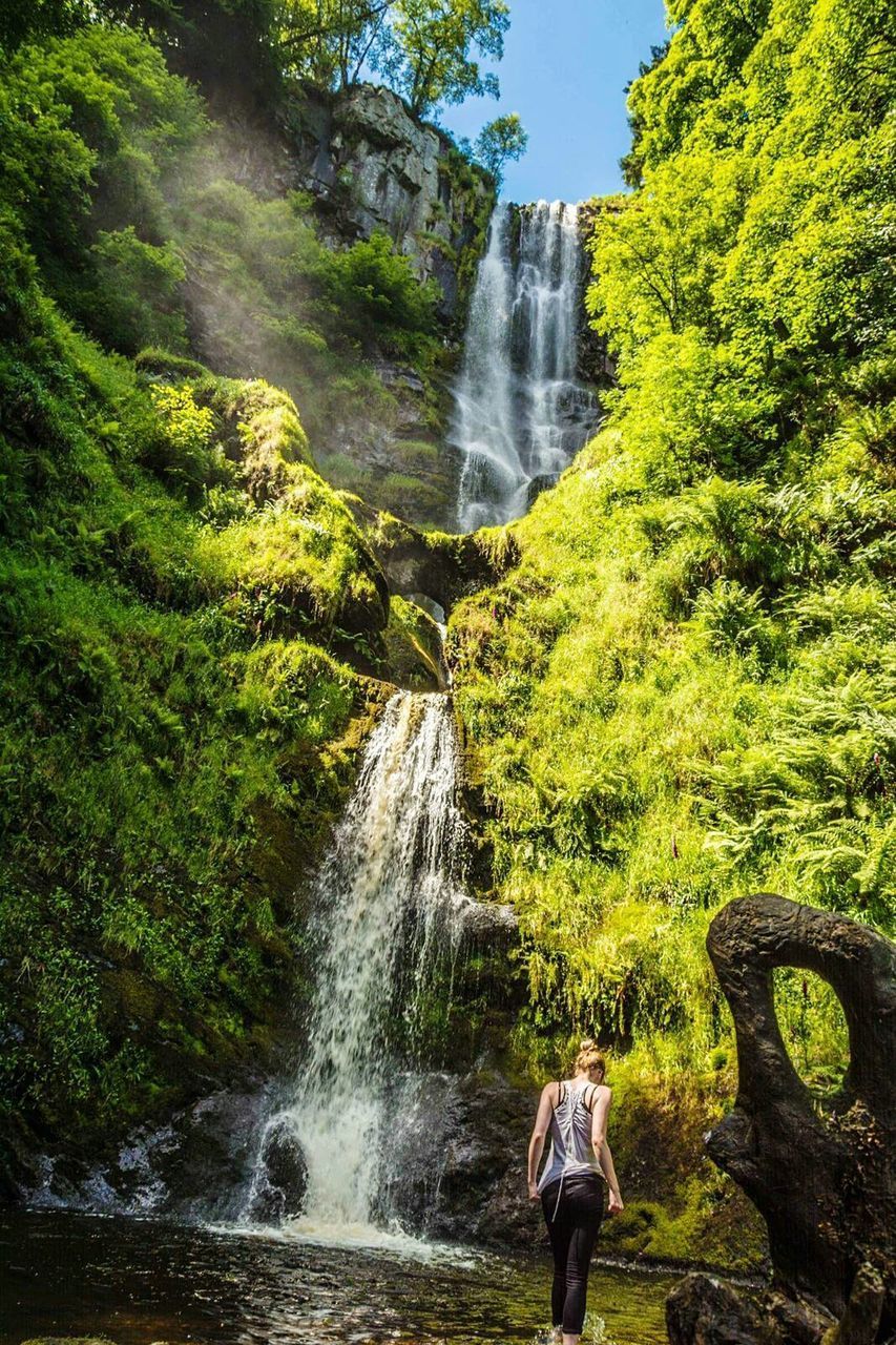 SCENIC VIEW OF WATERFALL