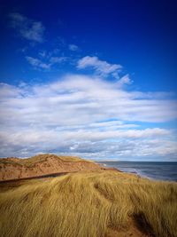 Grassy field by sea against sky