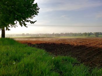 Scenic view of field against sky