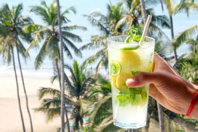 Close-up of hand holding glass of palm tree