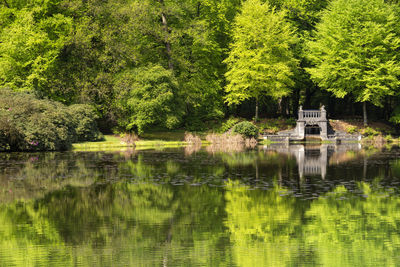 Scenic view of lake by trees