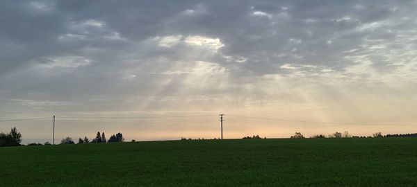 Scenic view of field against sky