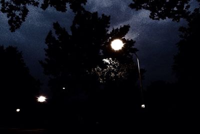 Low angle view of illuminated tree against sky