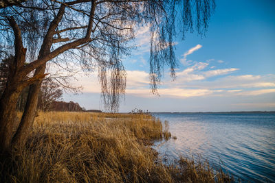Scenic view of lake against sky during sunset