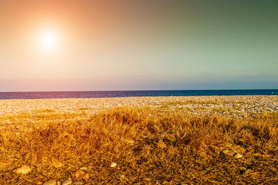 Scenic view of sea against clear sky during sunset