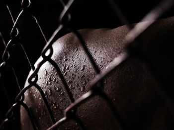 Close-up of chainlink fence