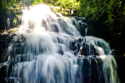 Waterfall in forest