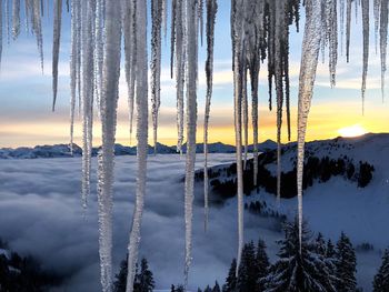 Panoramic view of frozen trees against sky during sunset