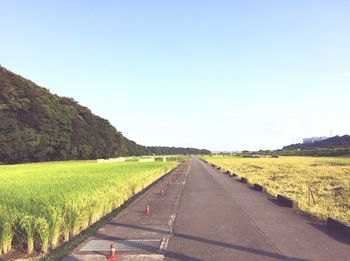 Road amidst field against clear sky