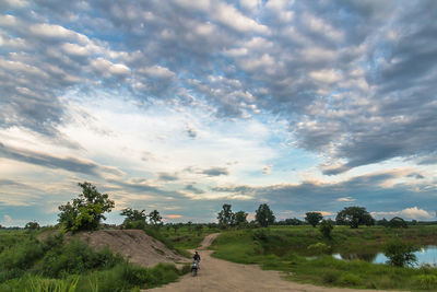 Road amidst landscape against sky